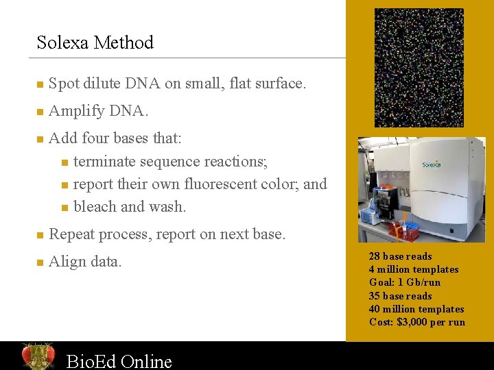 Solexa Method n Spot dilute DNA on small, flat surface. n Amplify DNA. n
