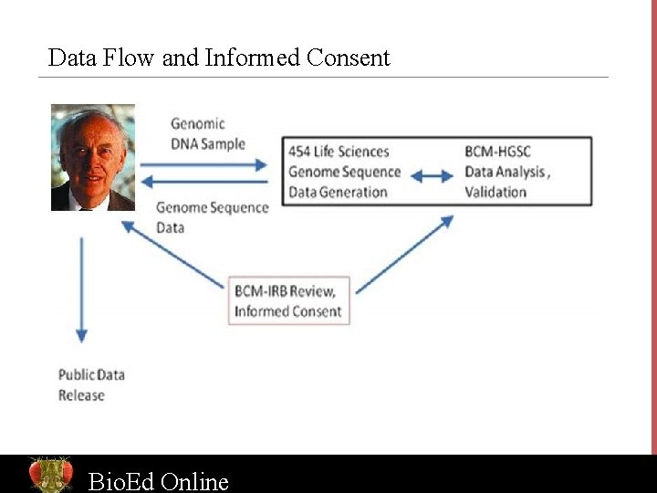 Data Flow and Informed Consent Bio. Ed Online 