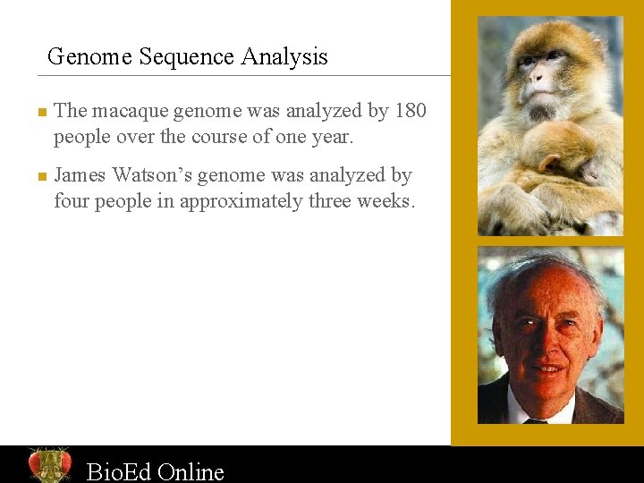 Genome Sequence Analysis n n The macaque genome was analyzed by 180 people over