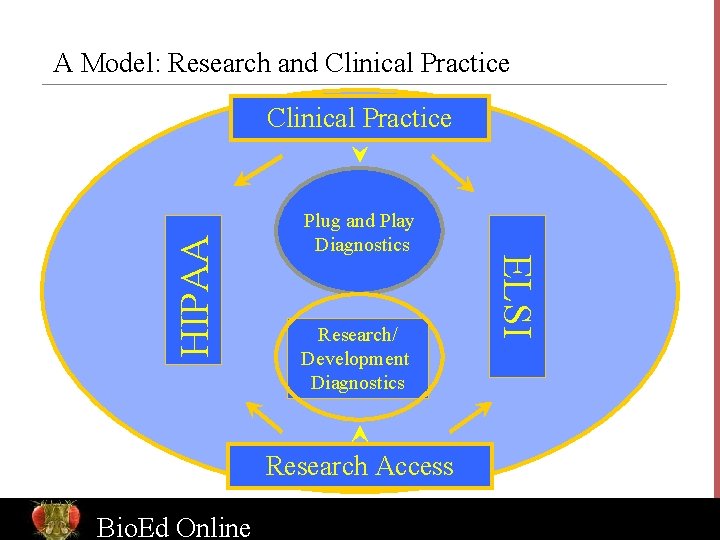 A Model: Research and Clinical Practice Plug and Play Diagnostics Research/ Development Diagnostics Research