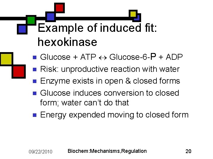 Example of induced fit: hexokinase n n n Glucose + ATP Glucose-6 -P +