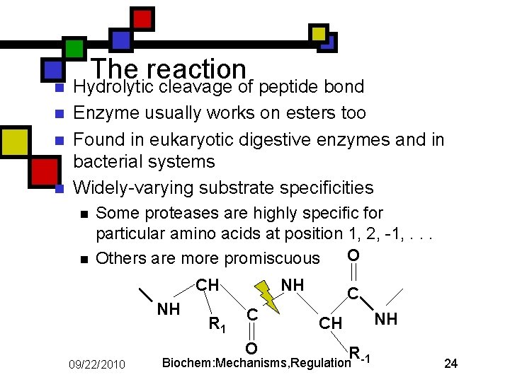 n n The reaction Hydrolytic cleavage of peptide bond Enzyme usually works on esters