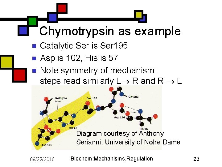 Chymotrypsin as example n n n Catalytic Ser is Ser 195 Asp is 102,