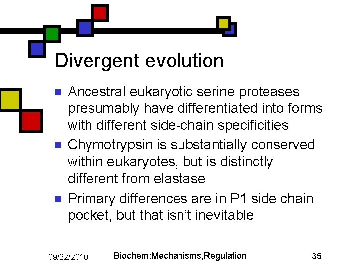 Divergent evolution n Ancestral eukaryotic serine proteases presumably have differentiated into forms with different