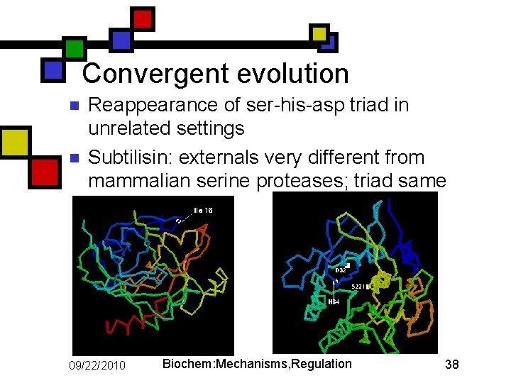 Convergent evolution n n Reappearance of ser-his-asp triad in unrelated settings Subtilisin: externals very