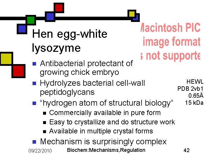 Hen egg-white lysozyme n n n Antibacterial protectant of growing chick embryo Hydrolyzes bacterial