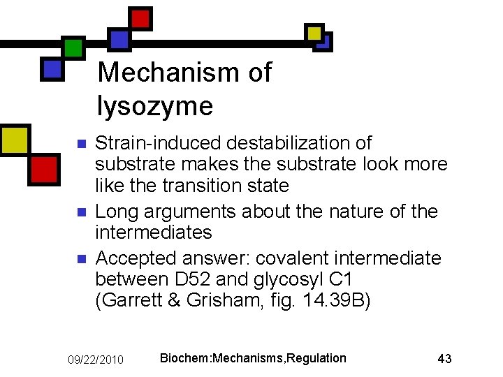 Mechanism of lysozyme n n n Strain-induced destabilization of substrate makes the substrate look