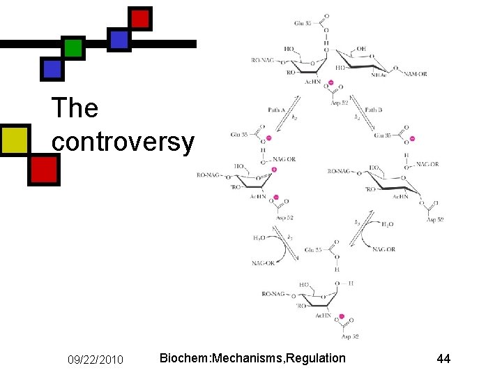 The controversy 09/22/2010 Biochem: Mechanisms, Regulation 44 