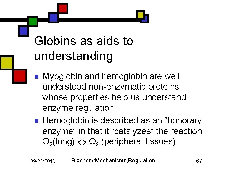 Globins as aids to understanding n n Myoglobin and hemoglobin are wellunderstood non-enzymatic proteins