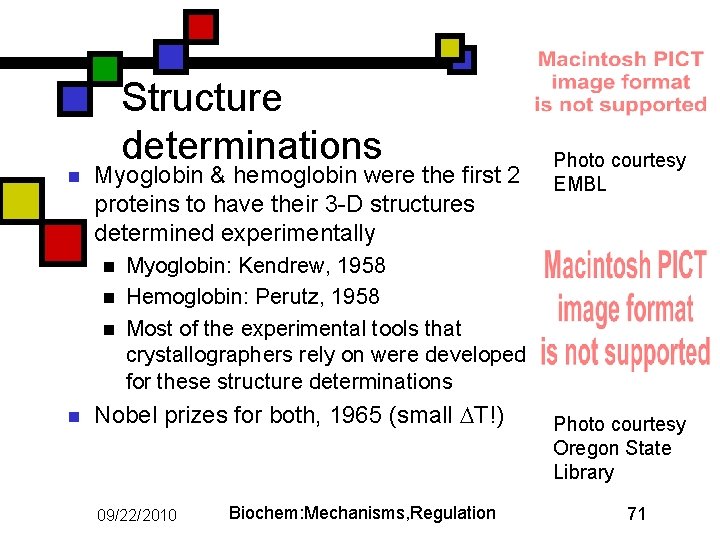 n Structure determinations Myoglobin & hemoglobin were the first 2 proteins to have their