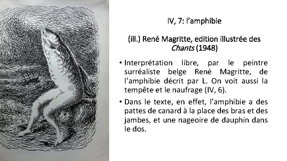 IV, 7: l’amphibie (ill. ) René Magritte, edition illustrée des Chants (1948) • Interprétation