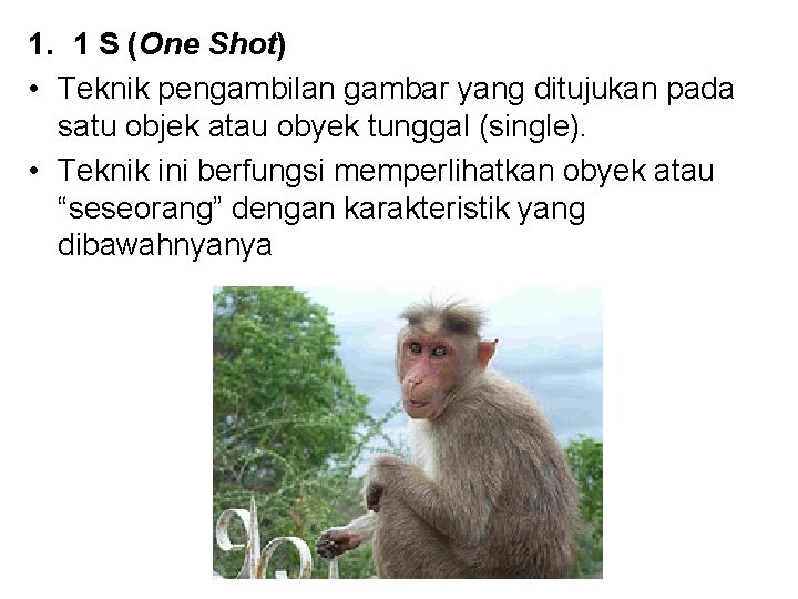 1. 1 S (One Shot) • Teknik pengambilan gambar yang ditujukan pada satu objek