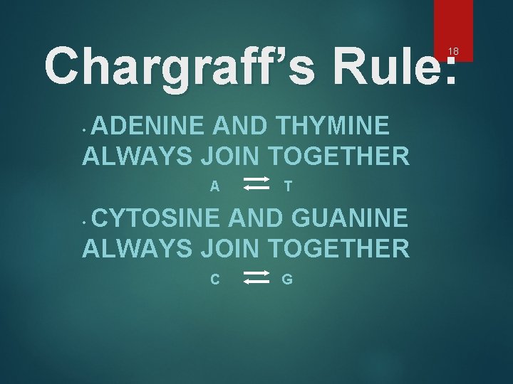 Chargraff’s Rule: 18 ADENINE AND THYMINE ALWAYS JOIN TOGETHER • A T CYTOSINE AND