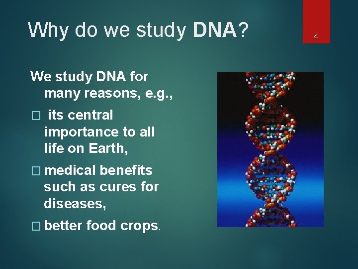 Why do we study DNA? DNA We study DNA for many reasons, e. g.