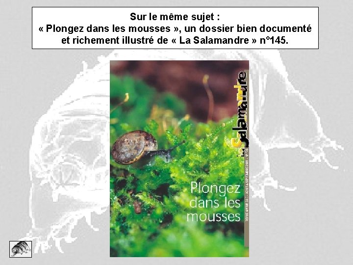 Sur le même sujet : « Plongez dans les mousses » , un dossier