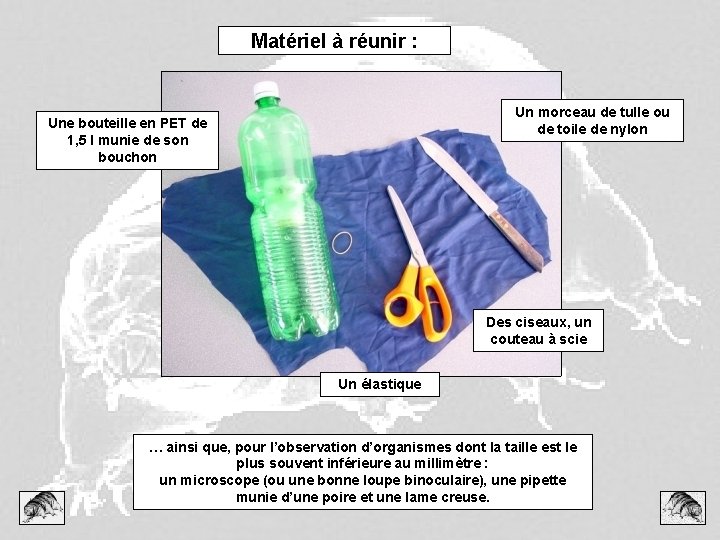 Matériel à réunir : Un morceau de tulle ou de toile de nylon Une