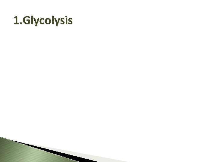 1. Glycolysis 