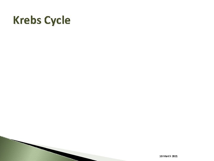 Krebs Cycle 10 March 2021 
