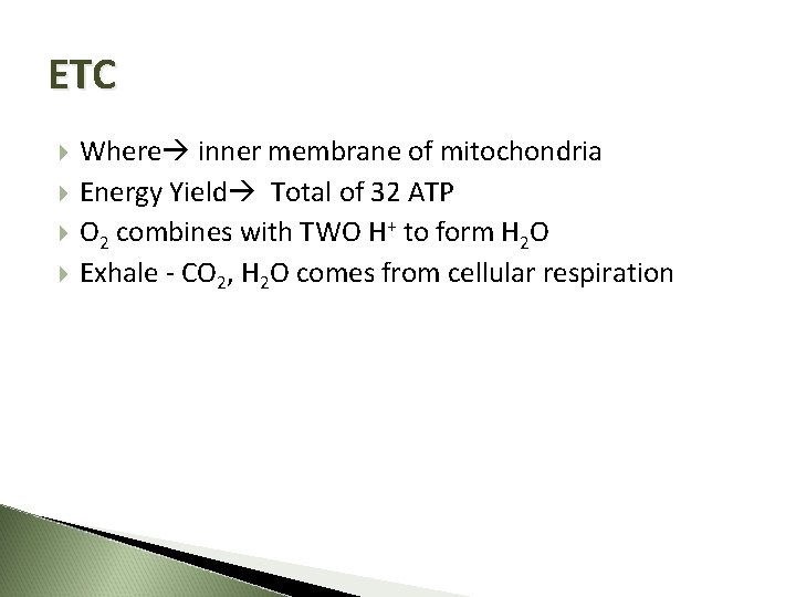 ETC Where inner membrane of mitochondria Energy Yield Total of 32 ATP O 2