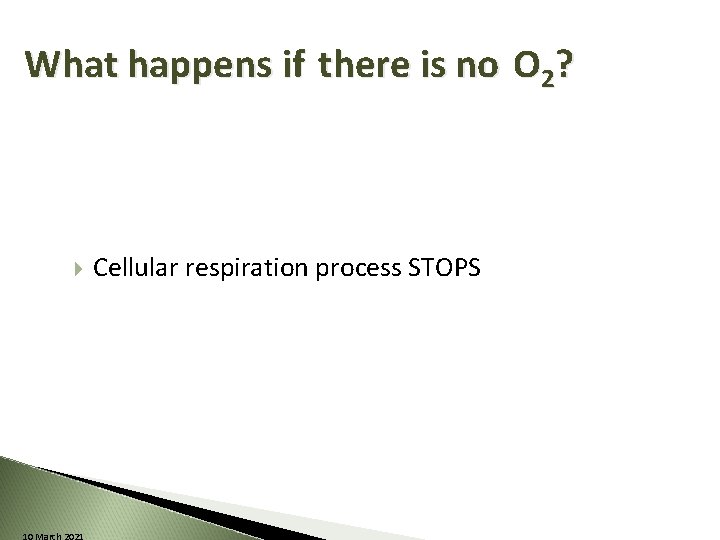 What happens if there is no O 2? 10 March 2021 Cellular respiration process