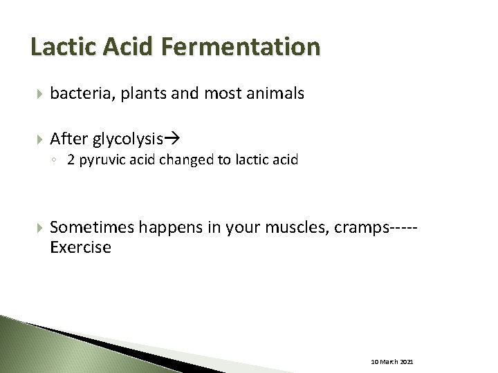 Lactic Acid Fermentation bacteria, plants and most animals After glycolysis ◦ 2 pyruvic acid