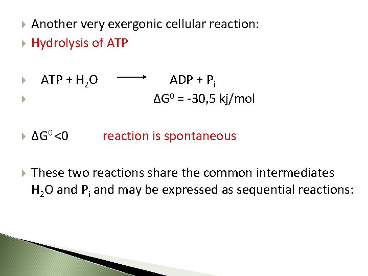  Another very exergonic cellular reaction: Hydrolysis of ATP + H 2 O ADP