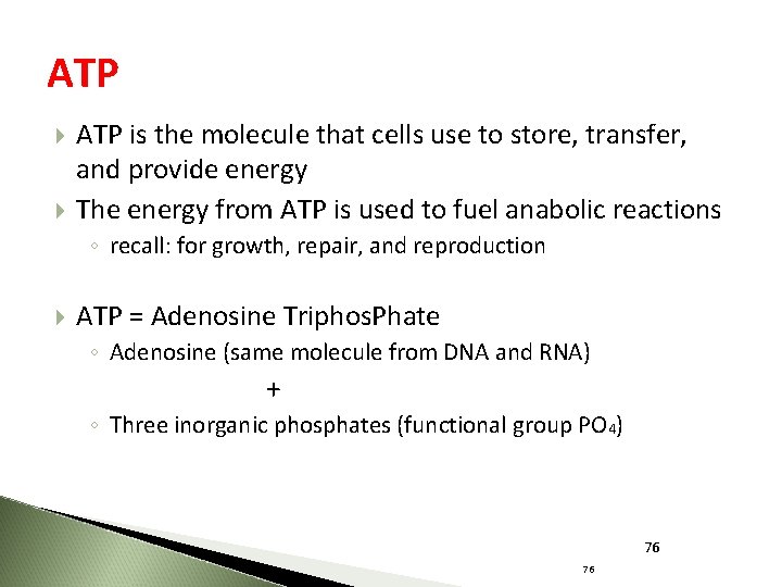 ATP is the molecule that cells use to store, transfer, and provide energy The