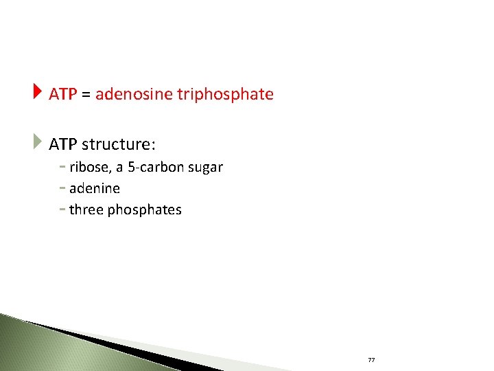  ATP = adenosine triphosphate ATP structure: - ribose, a 5 -carbon sugar -