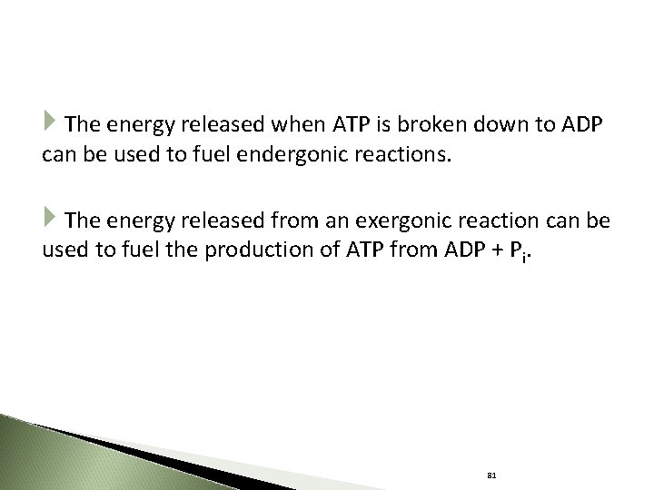  The energy released when ATP is broken down to ADP can be used