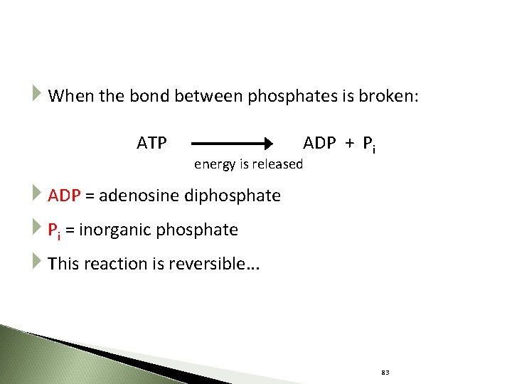  When the bond between phosphates is broken: ATP ADP + Pi energy is
