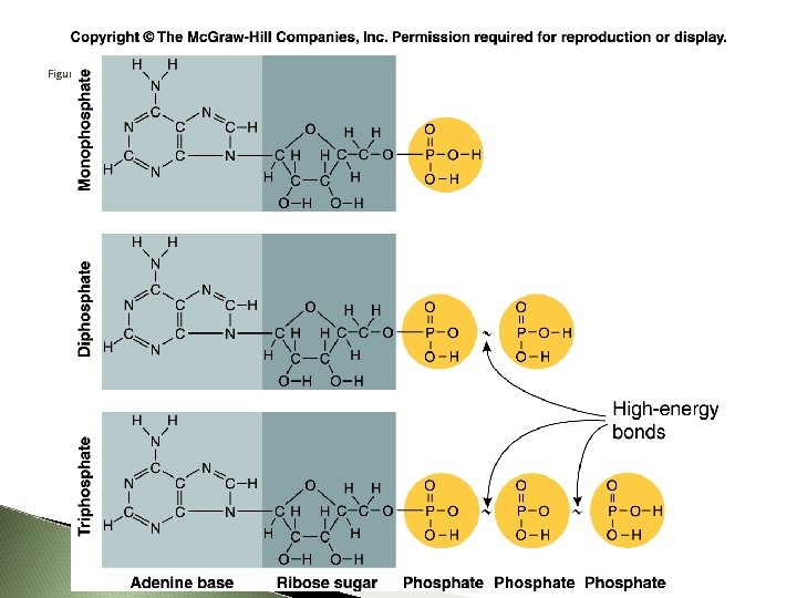 Figure 5_12 