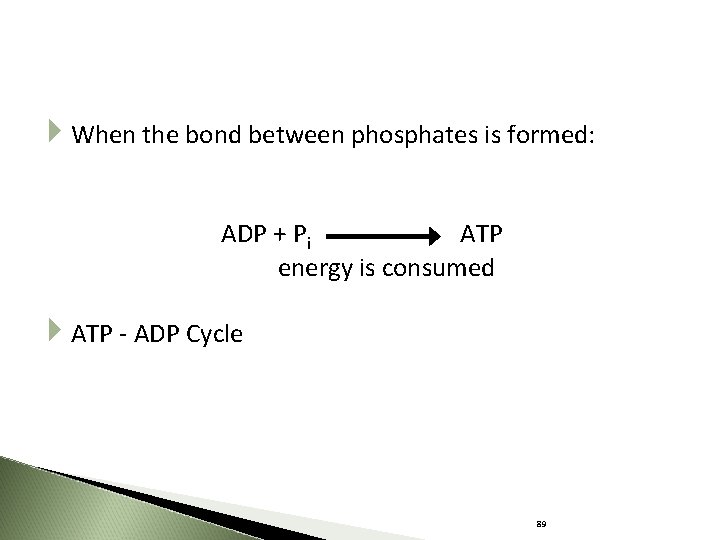  When the bond between phosphates is formed: ADP + Pi ATP energy is