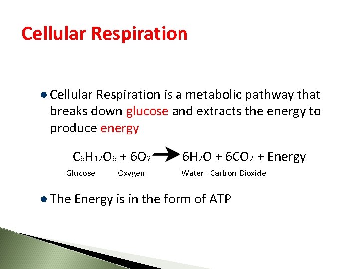 Cellular Respiration l Cellular Respiration is a metabolic pathway that breaks down glucose and