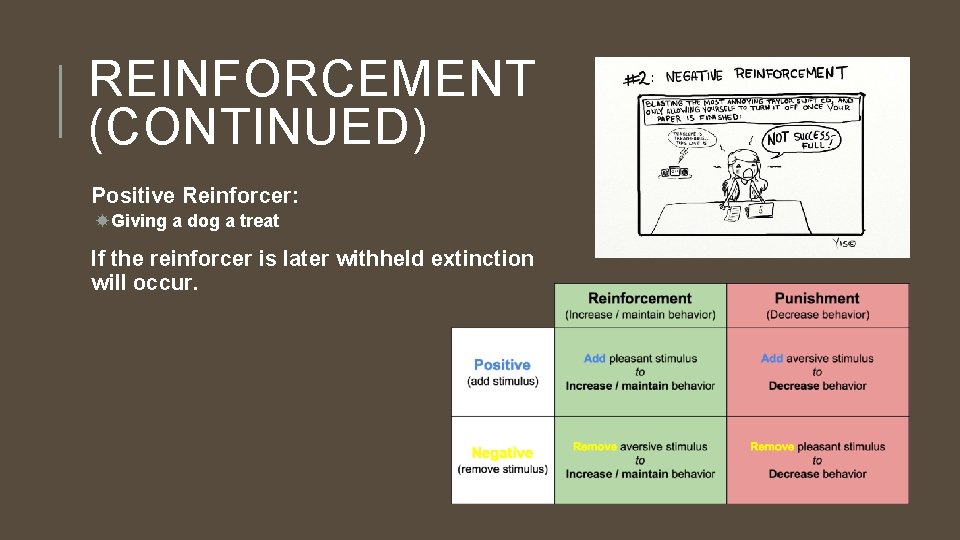 REINFORCEMENT (CONTINUED) Positive Reinforcer: Giving a dog a treat If the reinforcer is later