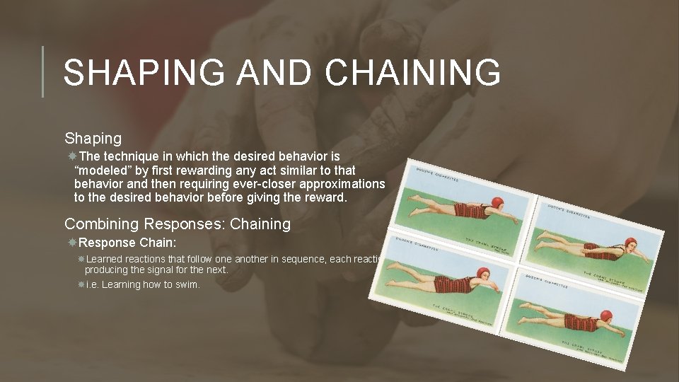 SHAPING AND CHAINING Shaping The technique in which the desired behavior is “modeled” by