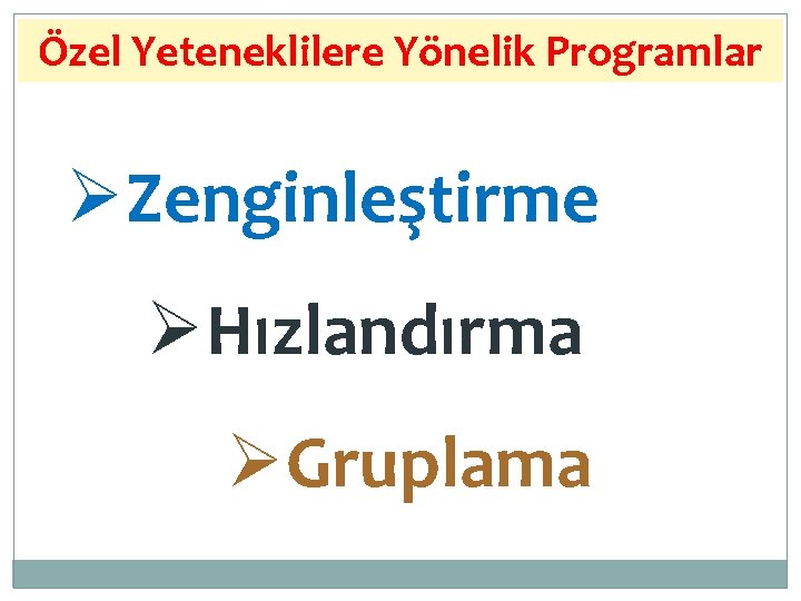 Özel Yeteneklilere Yönelik Programlar Zenginleştirme Hızlandırma Gruplama 