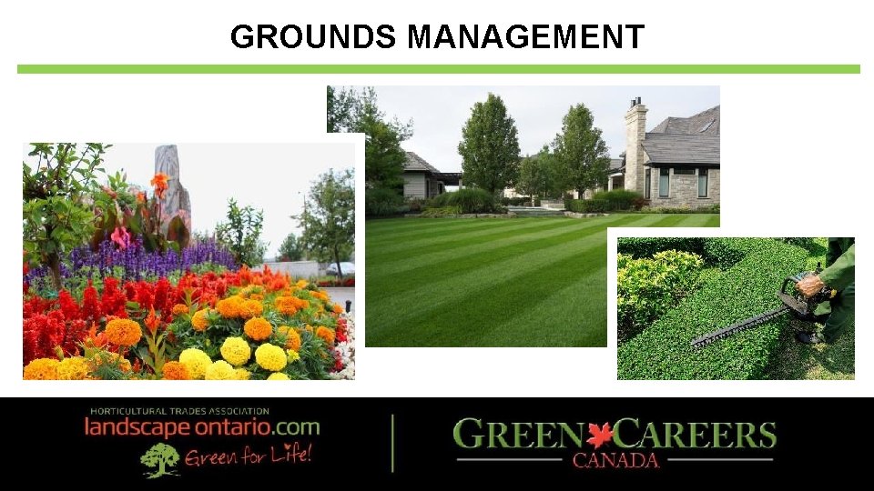 GROUNDS MANAGEMENT 