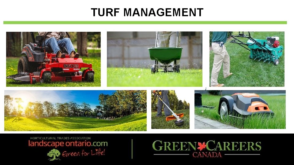 TURF MANAGEMENT 