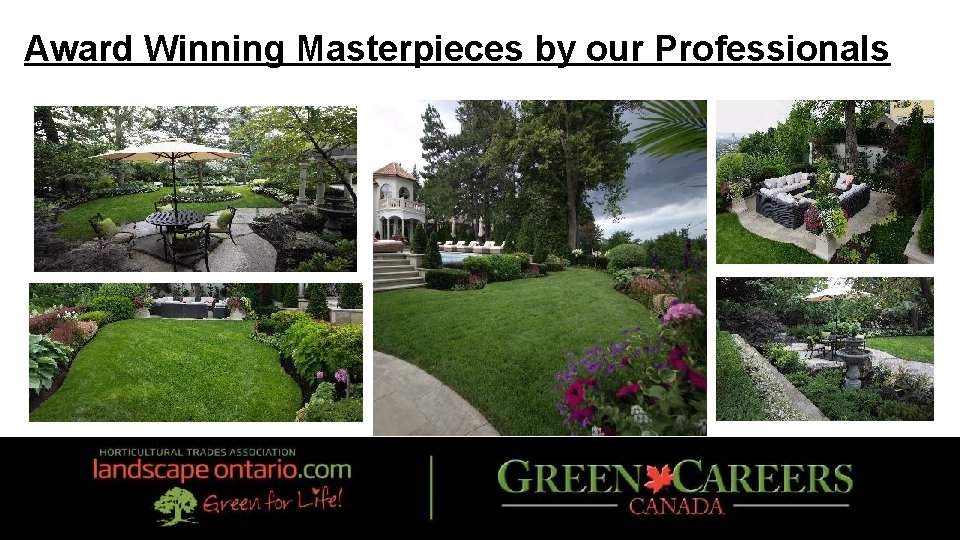 Award Winning Masterpieces by our Professionals 