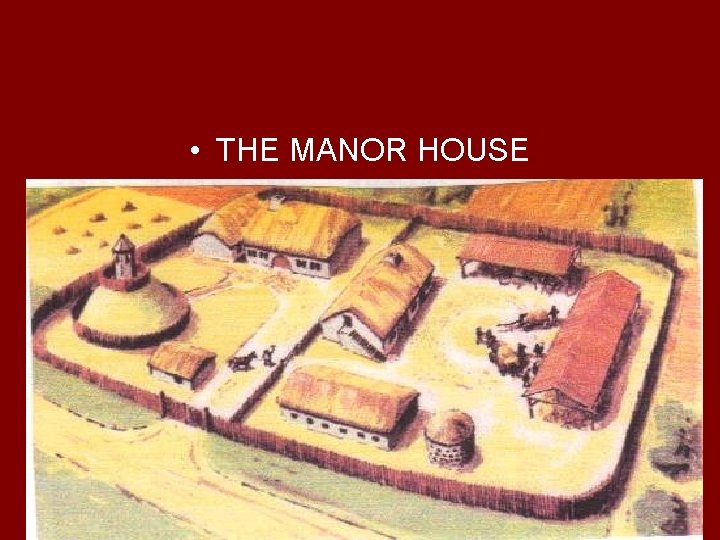  • THE MANOR HOUSE 