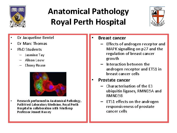 Anatomical Pathology Royal Perth Hospital • • • Dr Jacqueline Bentel Dr Marc Thomas