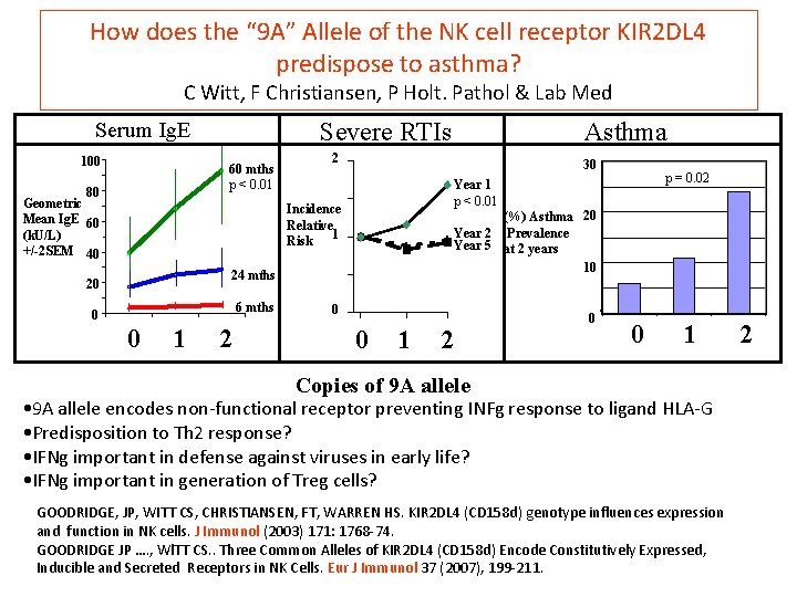 How does the “ 9 A” Allele of the NK cell receptor KIR 2