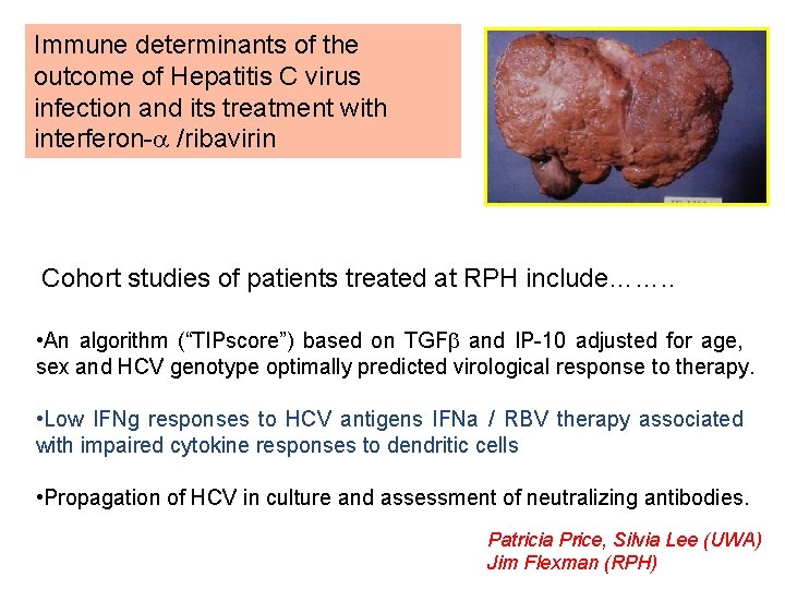 Immune determinants of the outcome of Hepatitis C virus infection and its treatment with