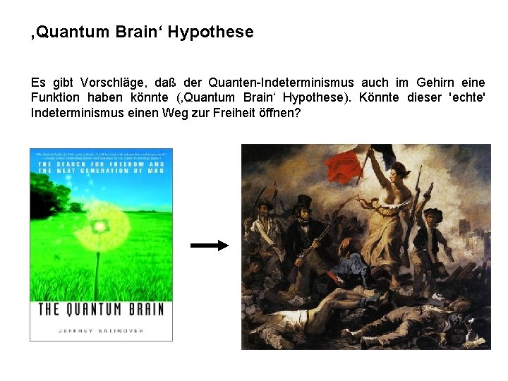 ‚Quantum Brain‘ Hypothese Es gibt Vorschläge, daß der Quanten-Indeterminismus auch im Gehirn eine Funktion