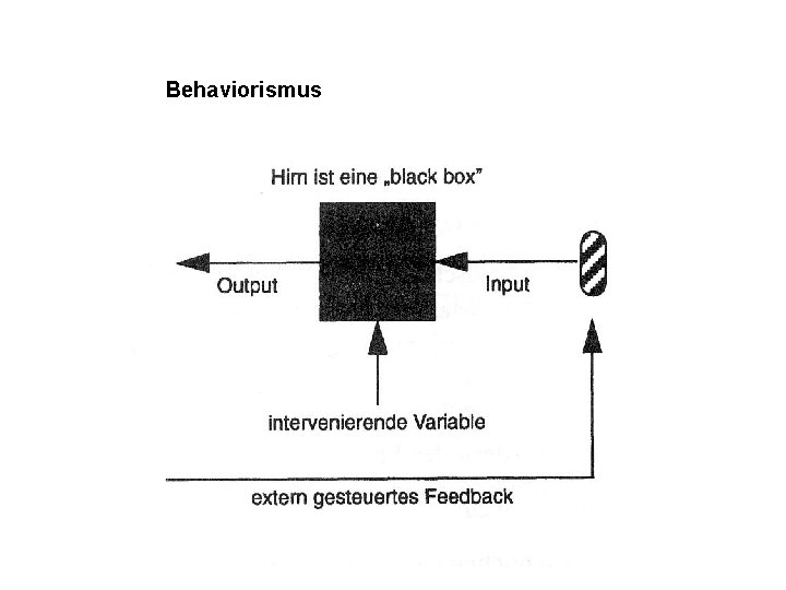 Behaviorismus 