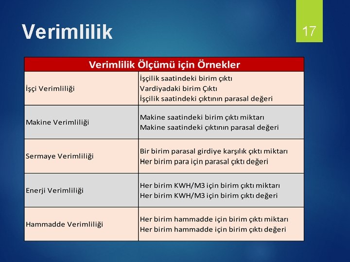 Verimlilik 17 