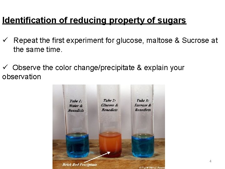 Identification of reducing property of sugars ü Repeat the first experiment for glucose, maltose