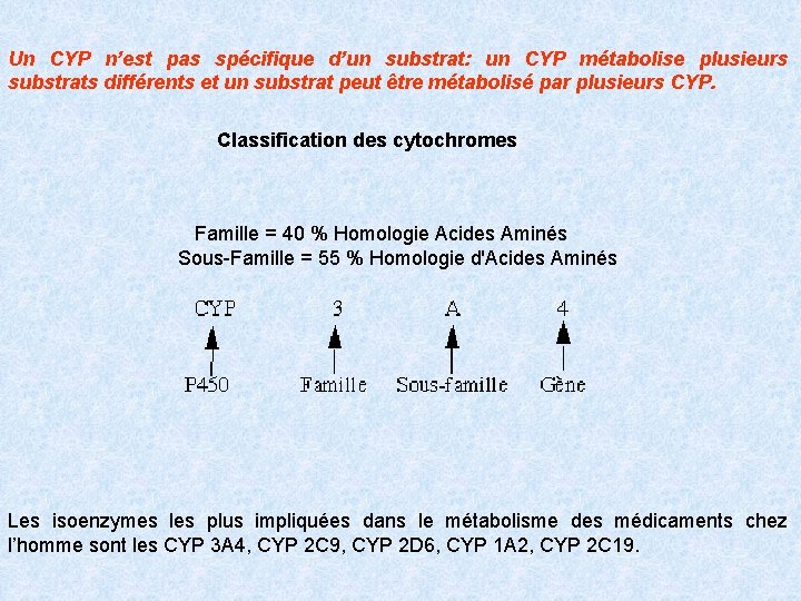 Un CYP n’est pas spécifique d’un substrat: un CYP métabolise plusieurs substrats différents et