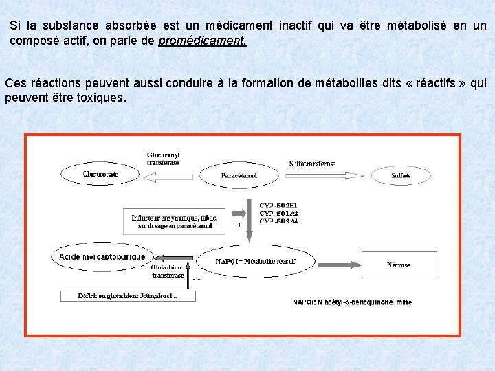 Si la substance absorbée est un médicament inactif qui va être métabolisé en un