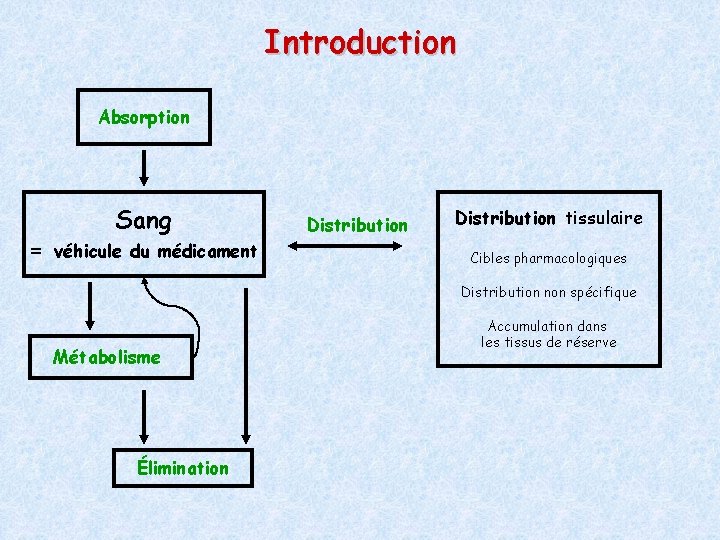 Introduction Absorption = Sang véhicule du médicament Distribution tissulaire Cibles pharmacologiques Distribution non spécifique